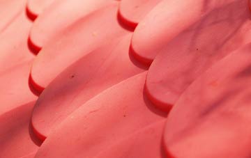 Bigfrith plastic roof costs